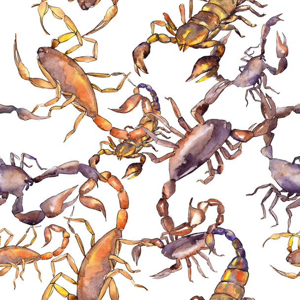 Exotische Scorpion Wild insect geïsoleerd. Aquarel achtergrond illustratie instellen. Naadloos achtergrond patroon. - Foto, afbeelding