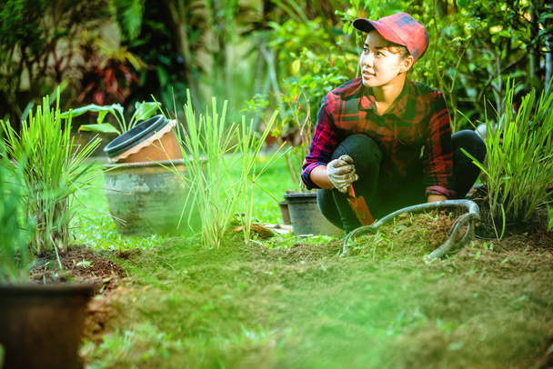 Ασιατικές γυναίκες φυτεύουν λεμονόχορτο. φυτικά λαχανικά - Φωτογραφία, εικόνα