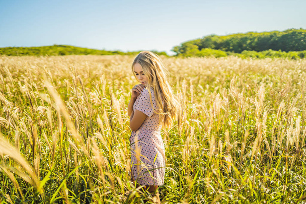 Młoda piękna kobieta w jesień krajobraz z suchych kwiatów, pszenicy kolce. Moda Jesień, zima. Słoneczny, Fotografia mody - Zdjęcie, obraz