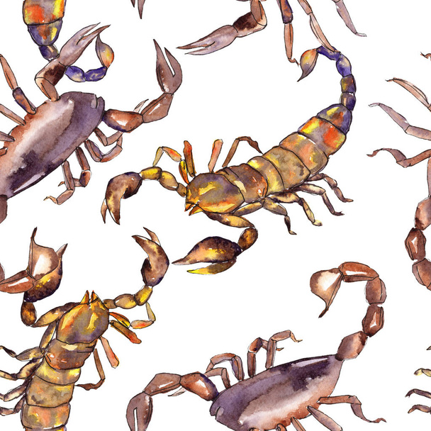 Exotic scorpion wild insect isolated. Watercolor background illustration set. Seamless background pattern. - Photo, Image