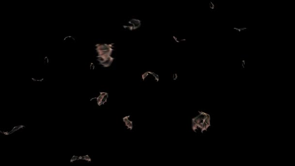 Mnoho netopýrů na Halloween alfa matný zavřít 3D vykreslování animace 4k - Záběry, video