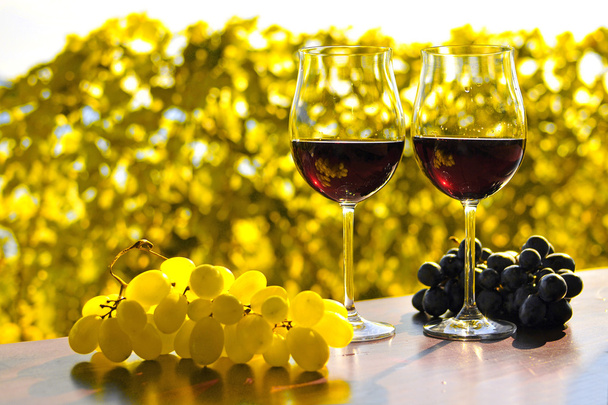 Paire de verres à vin et bouquet de raisins. Région de Lavaux, Suisse
 - Photo, image