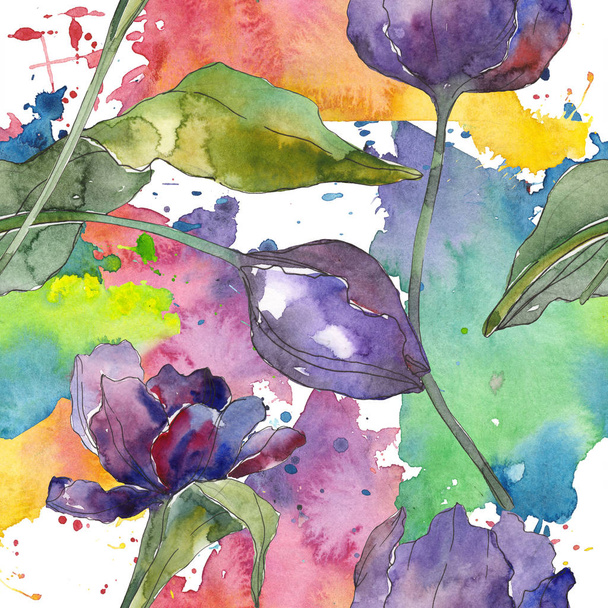 Tulipán púrpura flores botánicas florales. Conjunto de ilustración de fondo acuarela. Patrón de fondo sin costuras
. - Foto, imagen