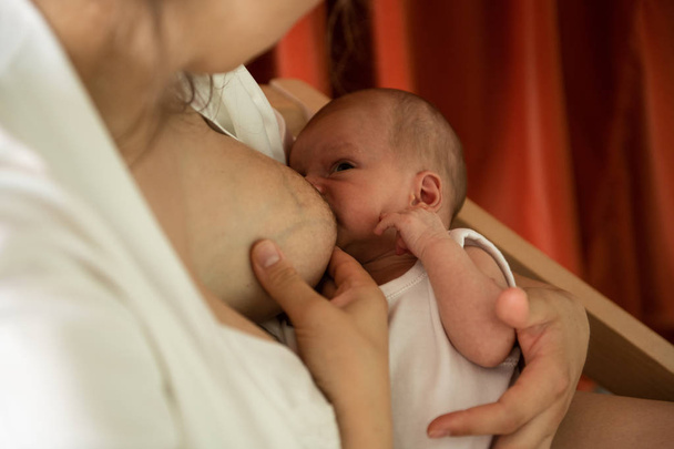 νεαρή γυναίκα θηλάζει το βρέφος παιδί της με αποτέλεσμα σιτηρών  - Φωτογραφία, εικόνα