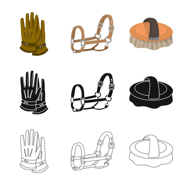 Isolated object of equipment and riding icon. Collection of equipment and competition stock symbol for web. - Vektor, Bild