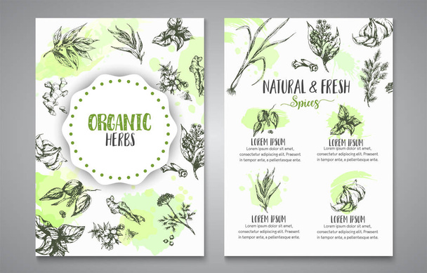 Herbs and spices posters. Herb, plant, spice hand drawn banners, menu elements. Organic garden herbs engraving. Botanical sketches. Garlic, ginger, cloves and onion vector - Vector, Imagen