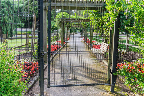 Garden Gate and Walkway 2
 - Фото, изображение