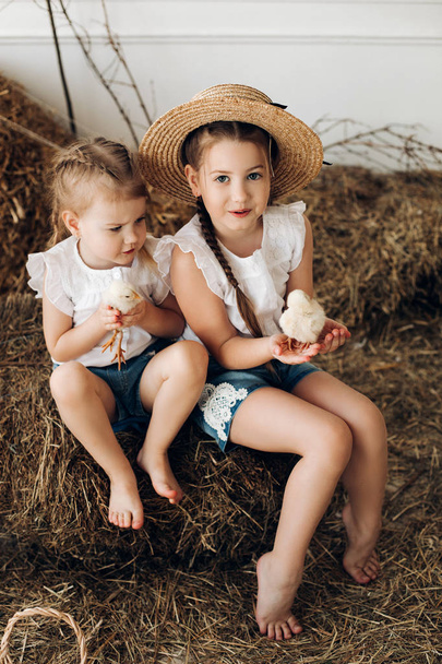 Χαριτωμένα κορίτσια σε καπέλα σανό κρατώντας μικρά κοτόπουλα στο χωριό - Φωτογραφία, εικόνα