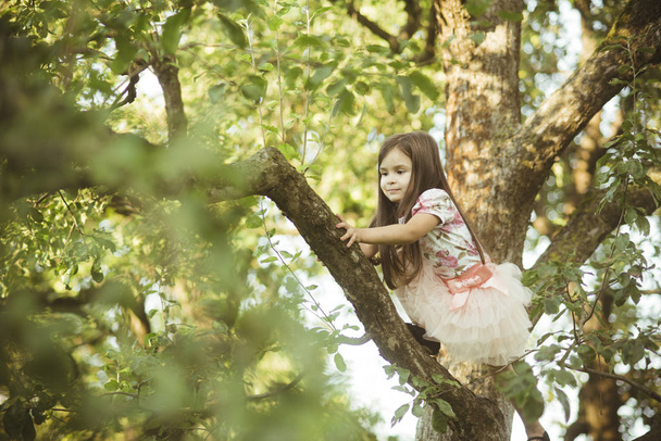 Little pretty girl climbing tree - Photo, image
