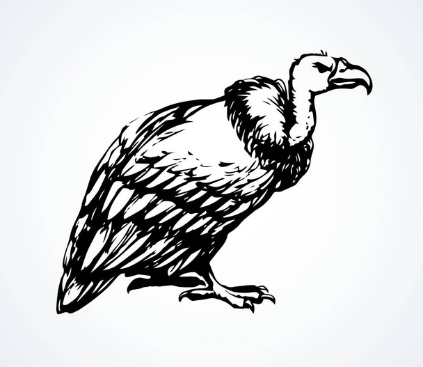 Avvoltoio. Segno icona disegno vettoriale
 - Vettoriali, immagini