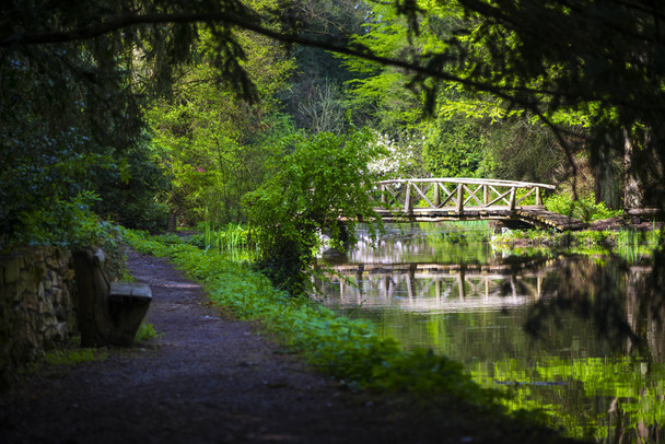 Yeşil bahar parkında gölet arasında ahşap köprü - Fotoğraf, Görsel