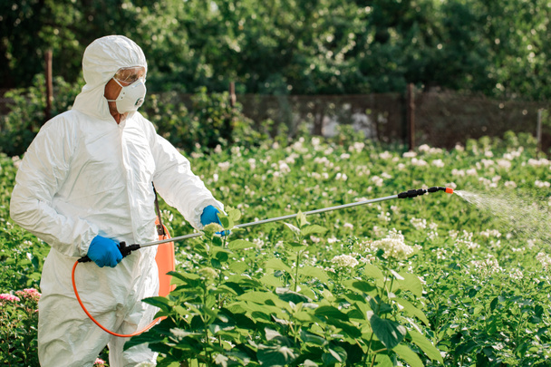 Arbeiter sprüht organische Pestizide auf Pflanzen - Foto, Bild
