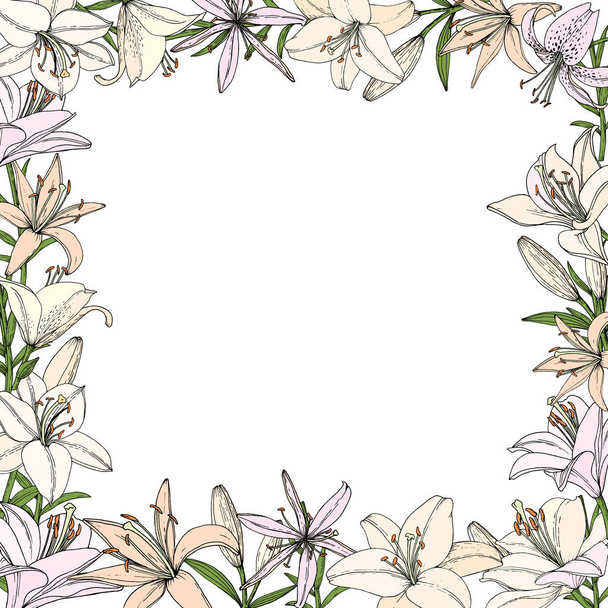 Square frame with Lily flower, bud and leaf. Hand drawn illustration. Vector image in sketch style. - Vektor, Bild