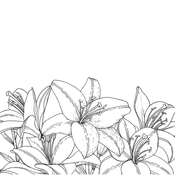 Frame met lelie bloemen, knoppen en bladeren. Hand getekende illustratie. Vector afbeelding in schets stijl. - Vector, afbeelding