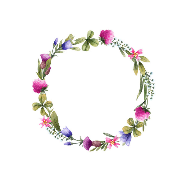 Λιβάδι λουλούδια σε στεφάνι: Bellflower, σιρίσιο, τριφύλλι και άλλα. Εικονογράφηση υδατογραφηματού. Φλοράλ στοιχεία απομονωμένα σε λευκό φόντο. - Φωτογραφία, εικόνα