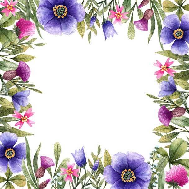 正方形のフレームの牧草地の花:ベルフラワー、サーシウム、クローバーや他。水彩画イラスト。白い背景に隔離された花の要素. - 写真・画像