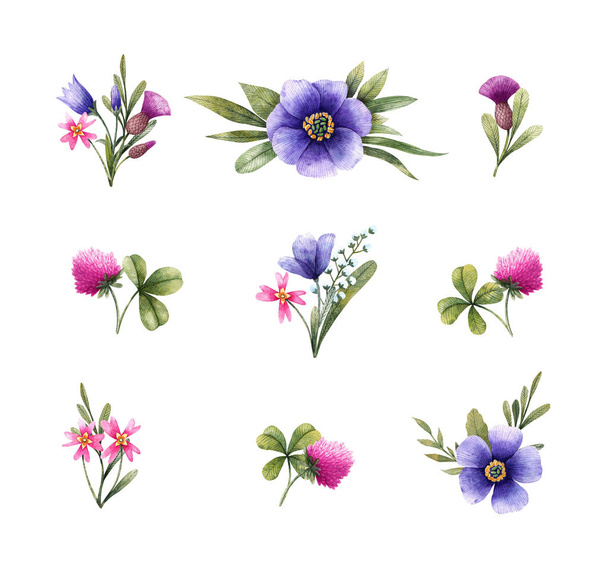 Weide bloemen in boeketten: Bellflower, Cirsium, klaver en andere. Aquarel illustratie. Bloemen elementen geïsoleerd op witte achtergrond. - Foto, afbeelding