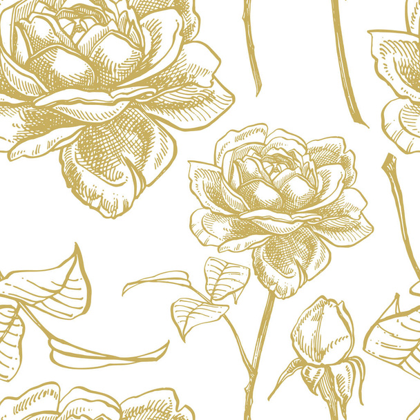 Roses. Hand drawn flower set illustrations. Botanical plant illustration. Vintage medicinal herbs sketch set of ink hand drawn medical herbs and plants sketch. Seamless patterns. - Foto, imagen