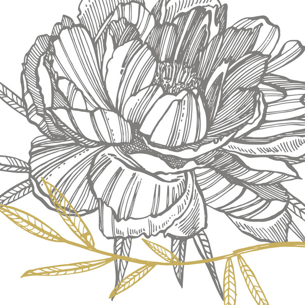 Peony flower and leaves drawing. Hand drawn engraved floral set. Botanical illustrations. Great for tattoo, invitations, greeting cards. - Photo, Image