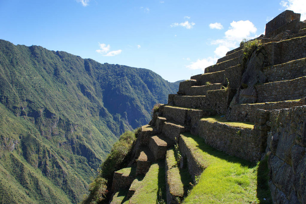 Tarasy używane do hodowli przez Incans w Machu Picchu - Zdjęcie, obraz