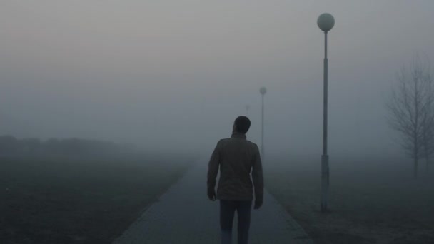 eenzame man loopt weg op Misty Road in de ochtend. de man gaat in de mist onder de lantaarns - Video