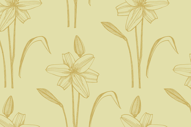 Lily flowers. Botanical illustration. Good for cosmetics, medicine, treating, aromatherapy, nursing, package design, field bouquet. Hand drawn wild hay flowers. - 写真・画像