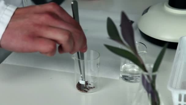 Close up of the student studying seed under the microscope - Imágenes, Vídeo