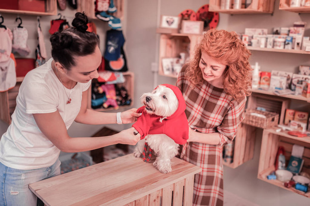 Owner of dog feeling excited before buying clothing for him - Foto, Imagen