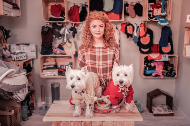 Beautiful curly woman with brassy hair standing near her cute dogs - Foto, Bild