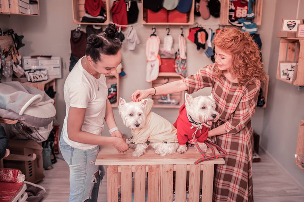 Top näkymä kaksi ystävää valitsemalla vaatteita heidän söpö koirille
 - Valokuva, kuva