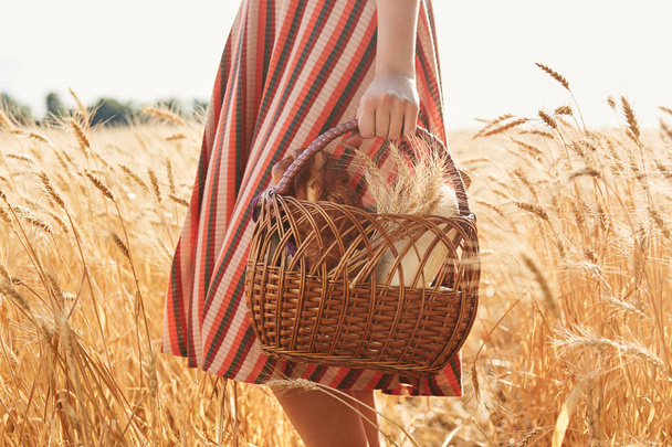 Faceless woman holding basket, ready to have picnic, female wearing striped dress or skirt, posing in field with spickelets on sunshine light, spending time with family or friends. Recreation concept. - Photo, Image