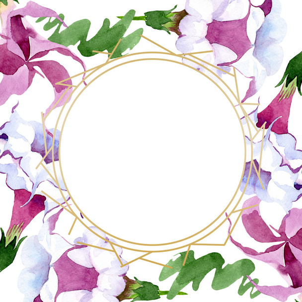 ブルグマンシアの花の植物の花。●水彩背景イラストセット。フレームボーダーオーナメント正方形. - 写真・画像