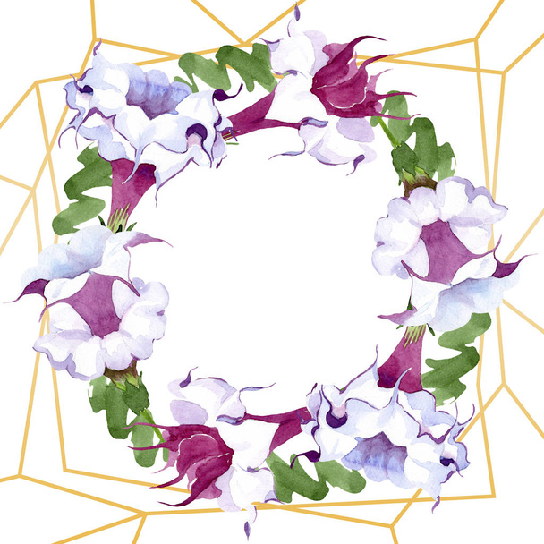 Brugmansia bloemen botanische bloemen. Aquarel achtergrond illustratie instellen. Frame rand ornament vierkant. - Foto, afbeelding