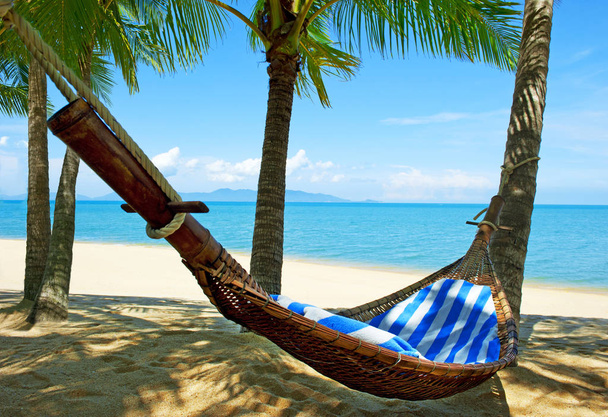Пустой гамак между пальмами на тропическом пляже. Остров Парадизе для отдыха
. - Фото, изображение