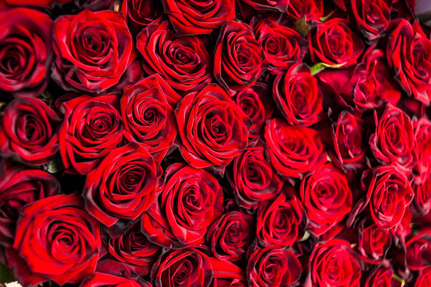 rode rozen in een rij - Foto, afbeelding