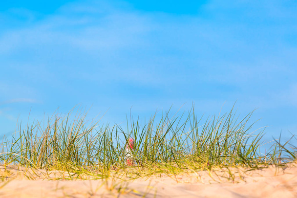 Trawa Dune na piasku plaży, miękkie koncentruje czerwone i białe paski latarnia niewyraźne na odległość, jak miniaturowe, niebieskie niebo kopii przestrzeni - Zdjęcie, obraz