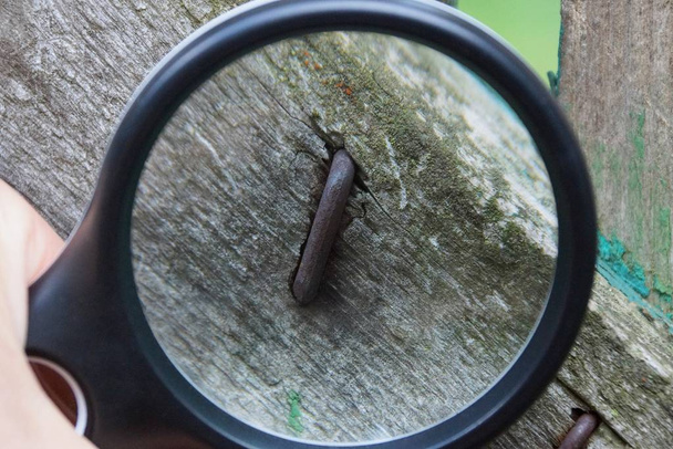 черная лупа увеличивает изогнутый ржавый гвоздь в серую деревянную доску
 - Фото, изображение