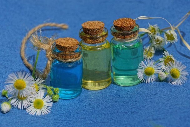 Pequeñas botellas de vidrio con aceite entre margaritas blancas sobre una mesa azul
 - Foto, Imagen