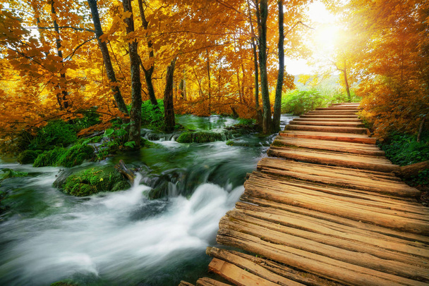 Mooie houten pad in Plitvice Lake, Kroatië. - Foto, afbeelding