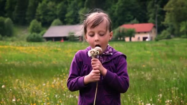 Aufnahme eines kleinen Mädchens, das Löwenzahnblüten bläst - Filmmaterial, Video