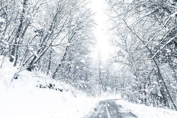 Téli erdei hóút. Erdei út téli hó kilátás.  - Fotó, kép