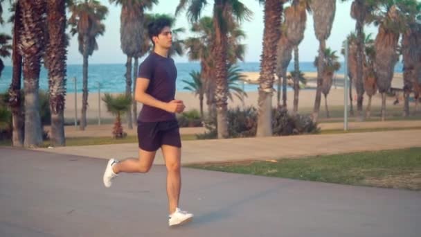 Young athletic man running at palm tree park near the beach - Materiał filmowy, wideo