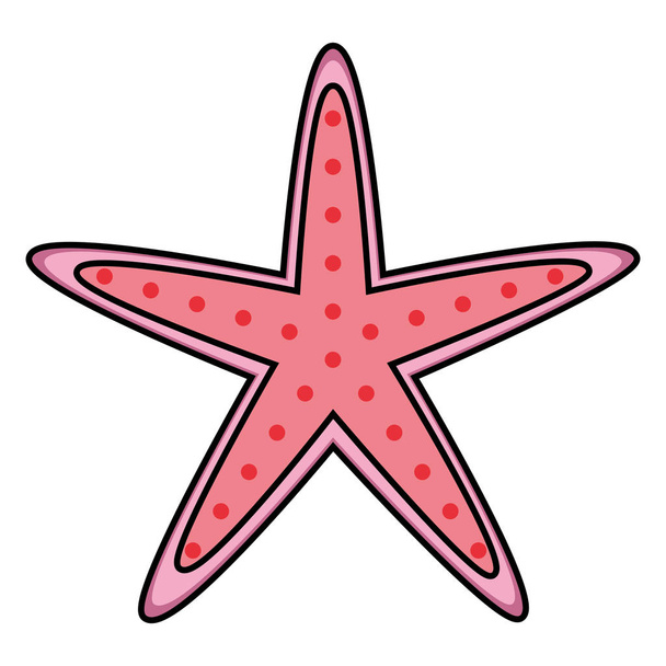 estrella de mar fauna sobre fondo blanco
 - Vector, imagen