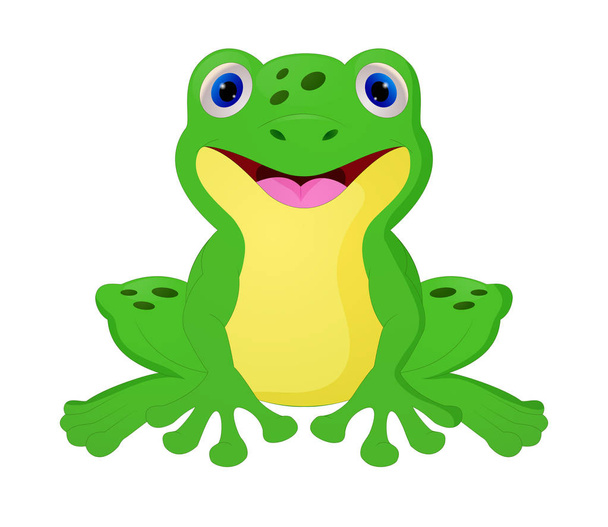Cute frog cartoon isolated on white background - Vector, Image