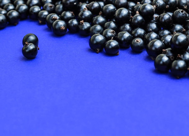 Black currant. Top view. - Photo, Image
