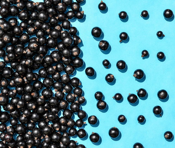 Black currant berries macro photo. Top view. Black currant on blue background. Summer berries. Flat lay - Photo, image