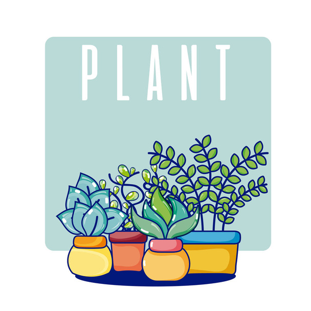 Plantas de cactus - Vector, imagen
