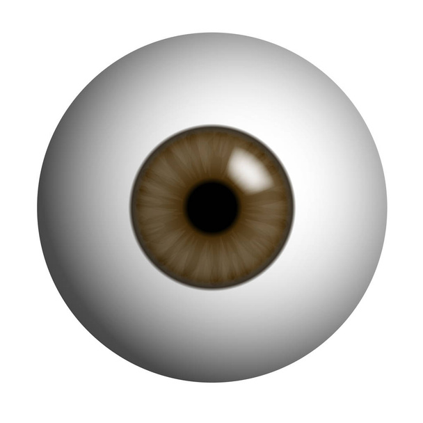 Realistické ilustrace lidského oka s hnědým Iris, žákem a odrazem. Izolované na bílém pozadí-vektor - Vektor, obrázek