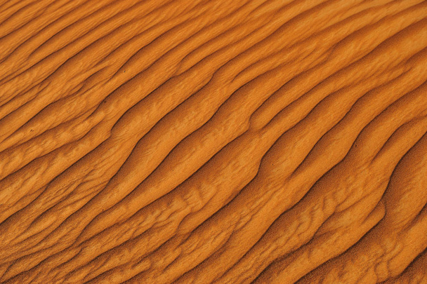 die struktur der dünen in der wüste, dubai, vereinigte arabische emirates.close up.areal view. - Foto, Bild