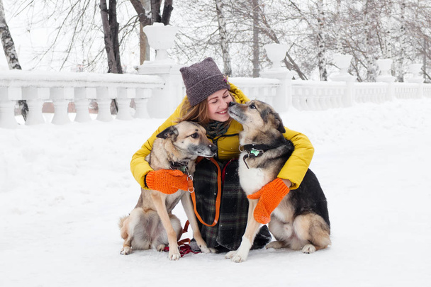 Portrait of beautiful smiling young woman with her two dogs in a snowy winter park. - Fotó, kép